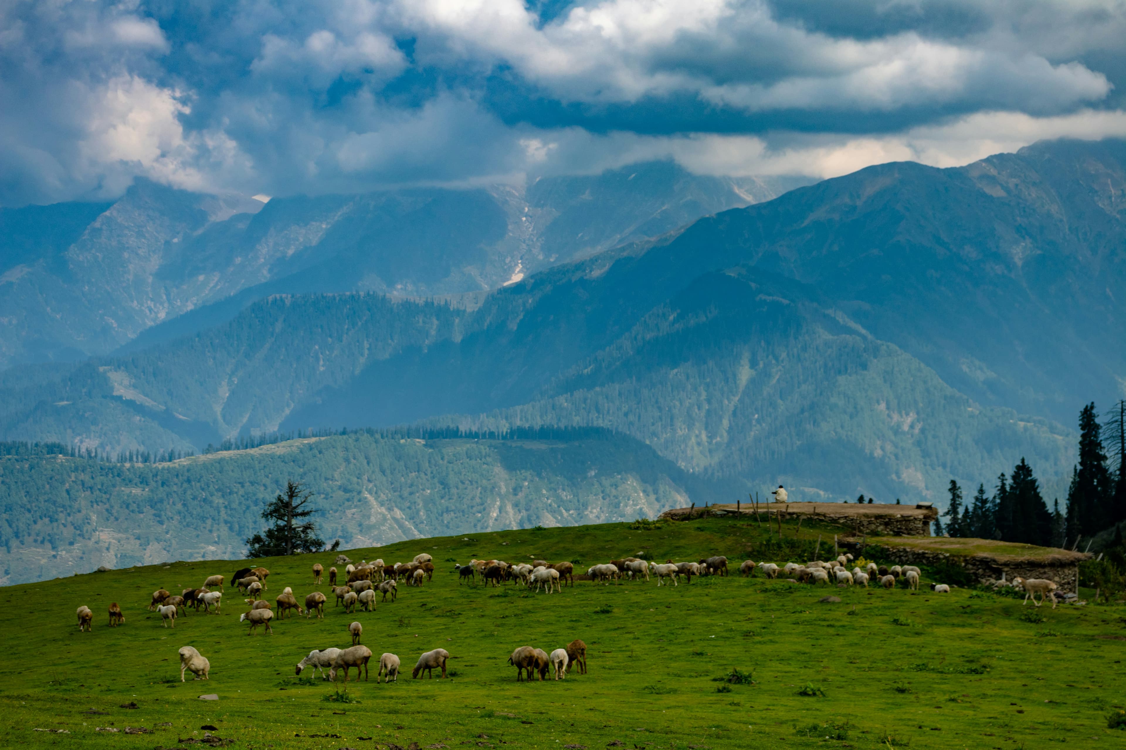 landscape 7